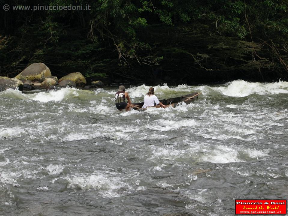 ECUADOR - Foresta Amazzonica - 37.jpg